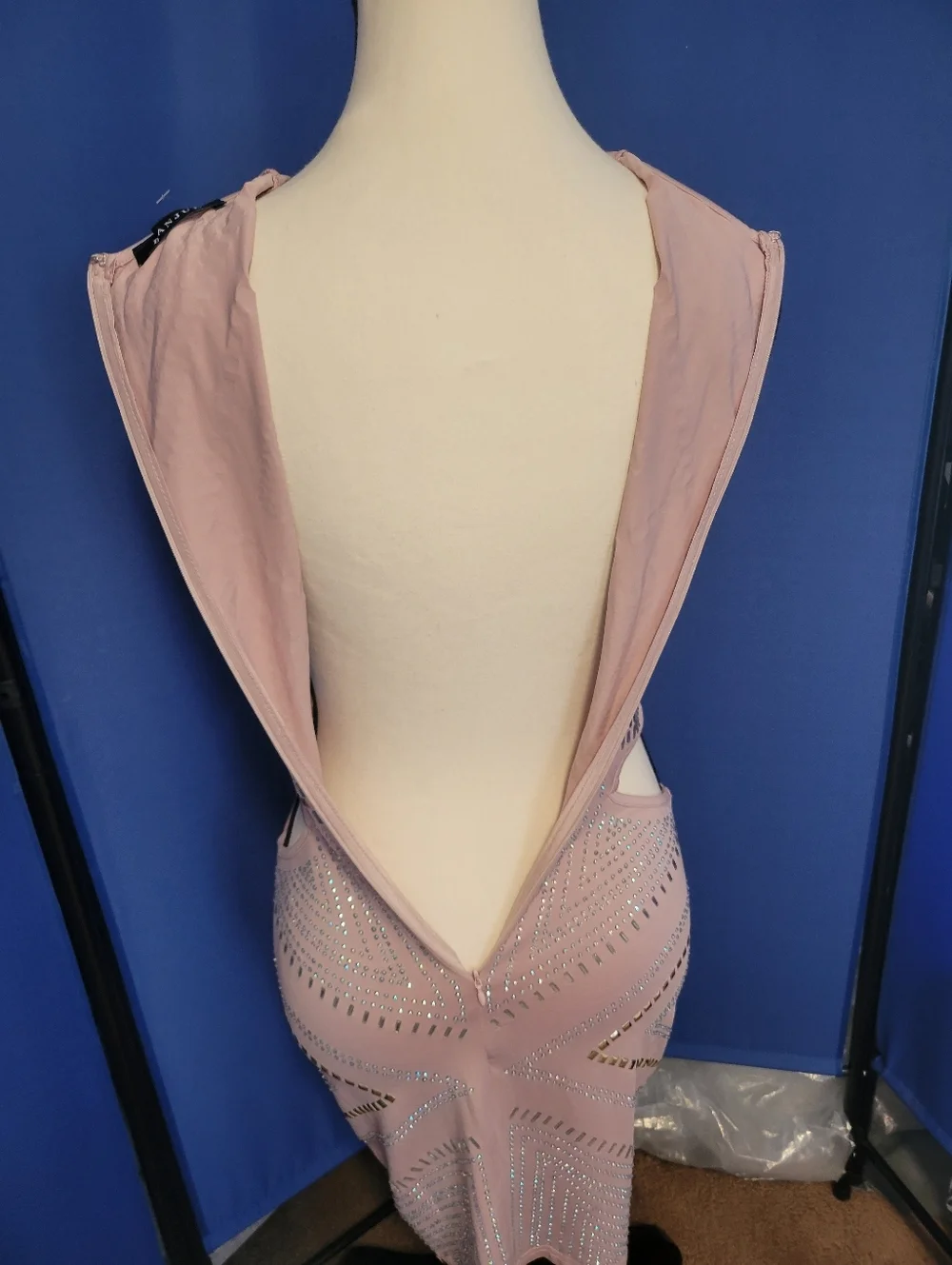 Banjul Blush Cutout Embellished Bodycon Dress